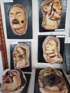 A photo of six different wax heads, all showing signs of trauma.