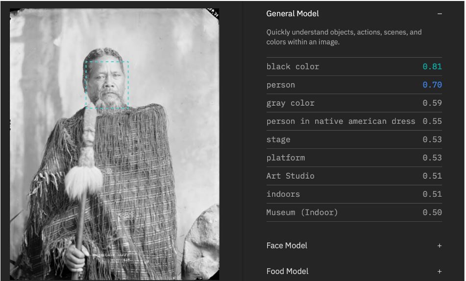 Example of a record from the IBM system, showing a Maori man. 