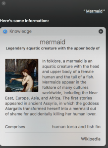 Siri returns results for the word Mermaid.