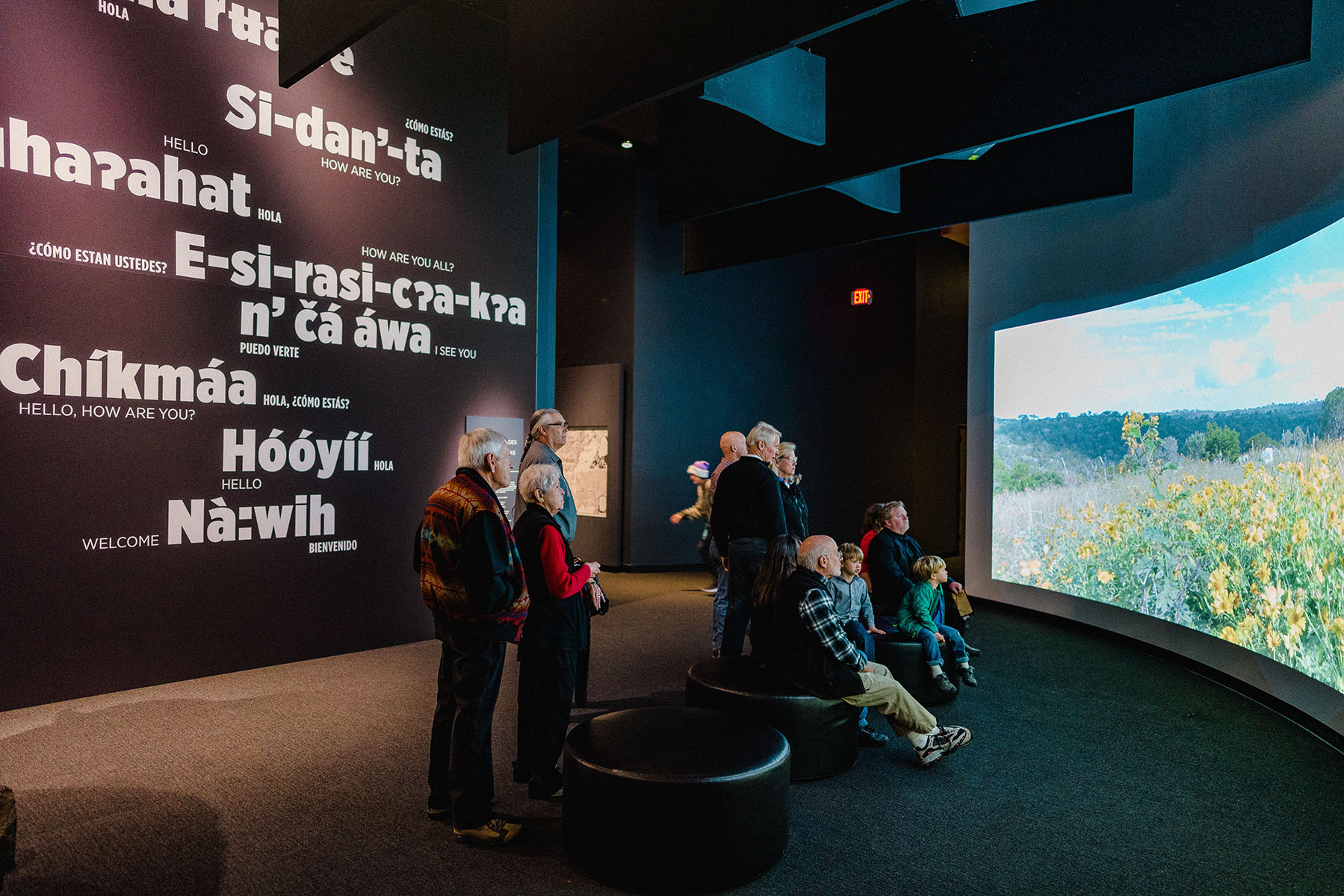 Visitors in the "Many Languages" experience