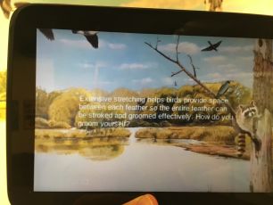 Augmented bird with interpretation
