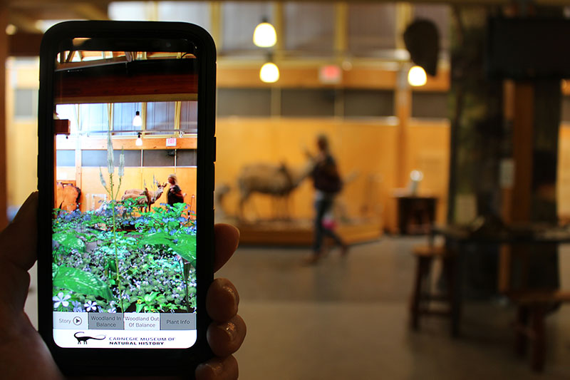 Figure 1: AR Perpetual Garden App, showing the Woodland in Balance Scenario visualization interacting with the White-tailed Deer and Predator Diorama Exhibit inside