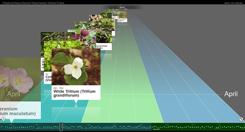 Figure 7: Plant Timeline (partial)