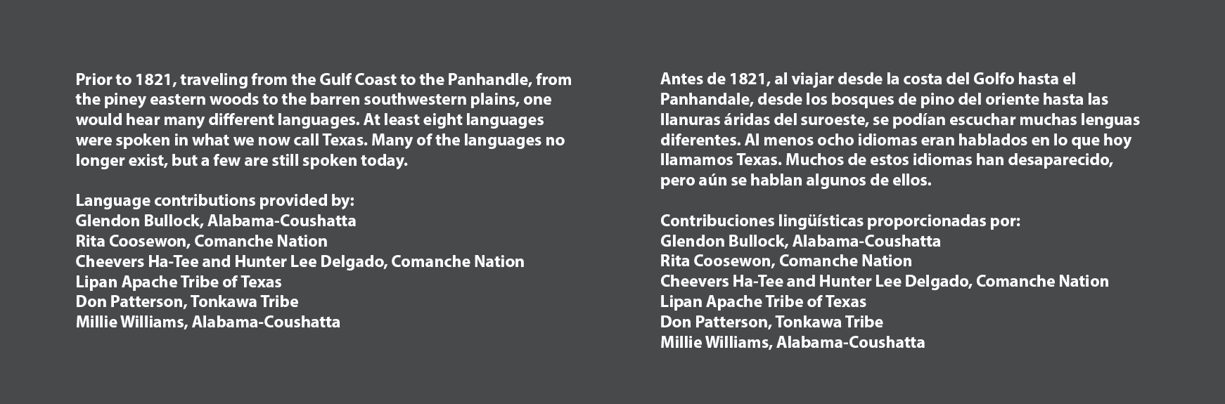 "Many Languages" video wall label